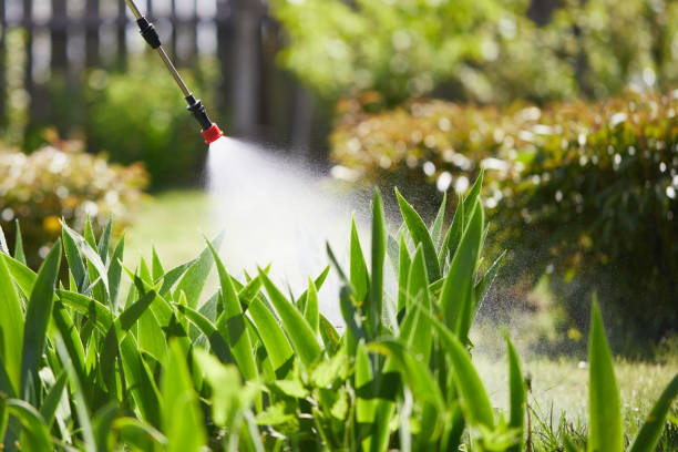 24/7 Emergency Mosquito Control experts in Guttenberg, NJ