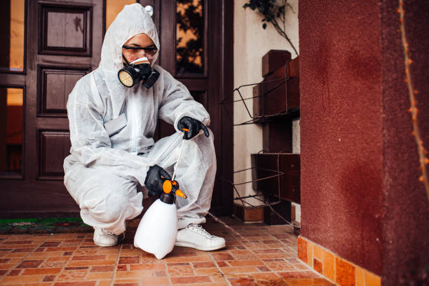 Reliable Mosquito Control contractor in Guttenberg, NJ by Show Me Pest Control